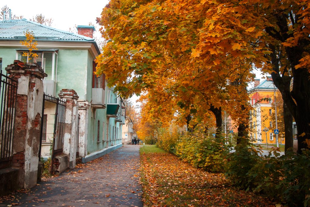 Улица Советская (Глазов).jpg