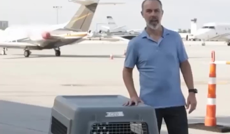 Перевозка животных в самолете: бизнесмен из США пролетел 4 часа в переноске для собак