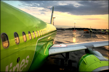 S7 Airlines открыла онлайн-регистрацию для пассажиров с питомцами