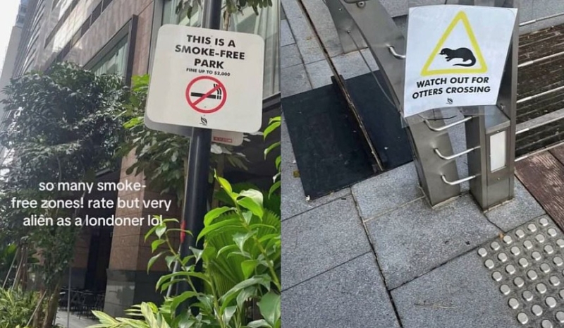 Туристов в Сингапуре предостерегают от встреч с выдрами и вейпинга