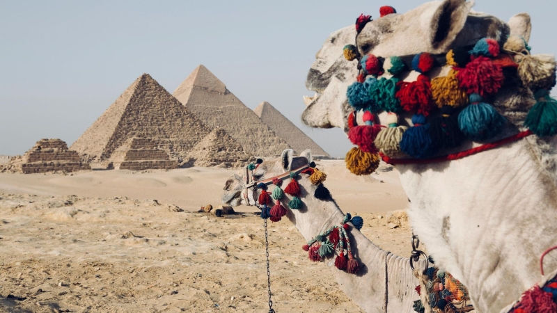 Неожиданно: сколько стоит в 2024 году люксовый отдых в Египте