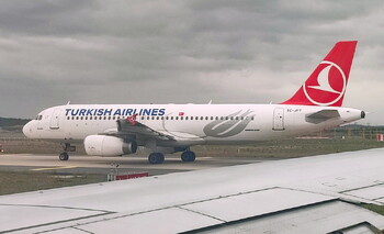 Пассажиры Turkish Airlines уже сутки не могут улететь из Москвы в Турцию