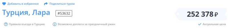 Отдых в Турции: новогодние туры на регулярных рейсах предлагаются дешевле чартерных